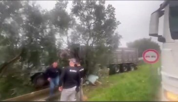 Bursa'da yağışlı hava kazayı getirdi! Kamyon zeytinliğe daldı