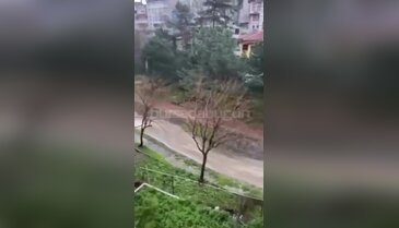 Bursa'da yağışlar yüz güldürdü! Kuruyan dereler coştu...