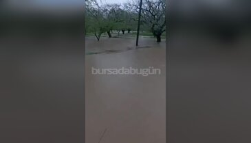 Bursa'da Çakırca deresi taştı! Tarlalar sular altında kaldı...