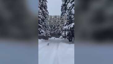 Bursa'nın en yüksek noktası kara doydu! Yollar böyle açıldı
