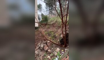 Bursa'da korkutan olay! İstinat duvarı yıkıldı, ağaçlar binaya devrildi...
