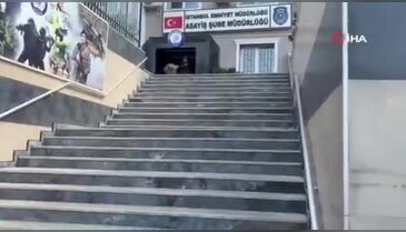 İstanbul'da 'Kaçırıldım' yalanıyla çalıştığı şirketten 4.5 milyon dolar dolandırdı...