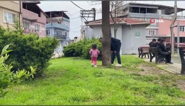 Parkta toplanan bitki az kalsın faciaya yol açıyordu