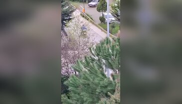 Günlerdir aynı çile! Bursa'da mobiletli şahıs bir mahalleyi bezdirdi