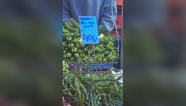 Bursa'da kıl sivri biber zirvede!