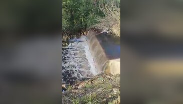 Bursa'nın altında tarih yatan gölü zehirleniyor! "Şu an kapkara"