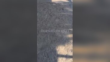 Bursa'da bu yol alarm veriyor! Öğrenciler tehlikeyle yürüyor...