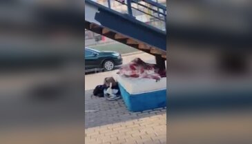 Üst geçidin altı "yuva" oldu! Bursa'da iç burkan görüntü...