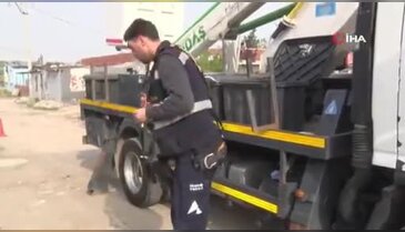 Bursa'da sokak lambasında yuva sürprizi! Ekiplerden duyarlı müdahale...