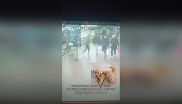 Bursa'da iki çocuğun gözyaşları dinmiyor! Balım'ı kucaklayıp götürdüler