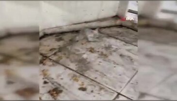 Mide bulandıran görüntüler! Ne şartlar altında üretiliyor...