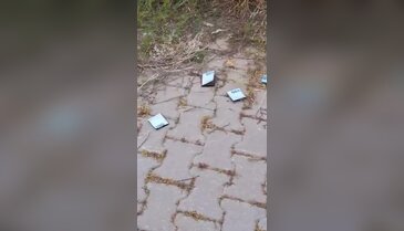 "Hangi enayi düşürmüş?" deyip eline aldı, söylediğine bin pişman oldu