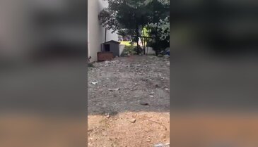 Bursa'da veliler diken üstünde! Çocuklar korkudan caddeye fırlıyor