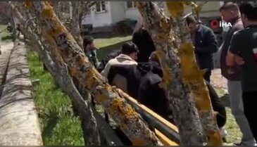 Bolu'da 2 aylık bebeğini öldürüp, ilçe değiştirmişti! Türkiye'nin konuştuğu annenin ilk ifadesi ortaya çıktı