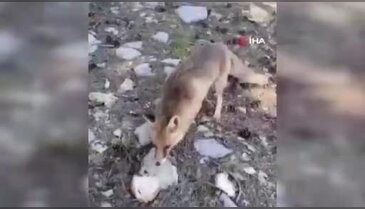 Bursa'da şaşırtan görüntüler!