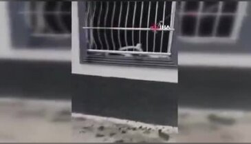 Şehit ailesine yapmadıkları kalmadı! 40 milyon isteyip şehirden sürdüler