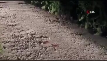 Bursa'da ortalığı kana bulayan silahlı saldırı! Avukat hayatını kaybetti, kardeşi ağır yaralı...