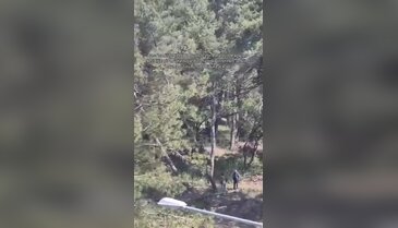 Bursa'da mahalleyi ayağa kaldıran olayın iç yüzü belli oldu!