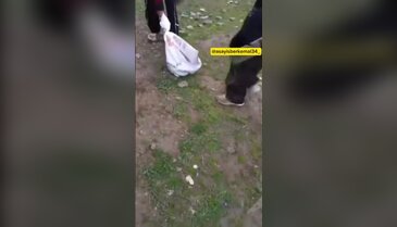 Vicdanları parçalayan görüntü! Kediye böyle eziyet ettiler... "Tamam çıkar öldü"
