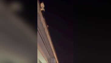 Yalova'da yürekleri ağza getiren olay! Köprüde intihar girişimi...