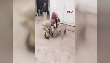 Bursa'da hava filtresine sıkışan köpeği itfaiye ekipleri kurtardı