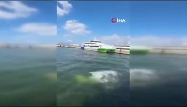 Bursa'da deniz suyu ısınmadı ama yüzme sezonu açıldı
