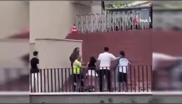 Torreira'ya saldırının ardından yaşanan kargaşa kamerada