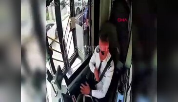 Otobüs şoföründen duyarlı hareket! Aracı durdurup kaplumbağayı ezilmekten kurtardı