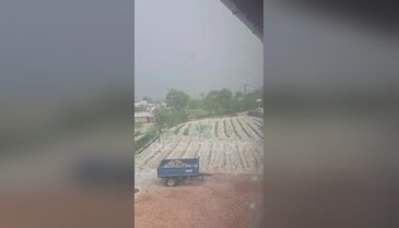 Bursa'da çiftçilerin korkulu rüyası gerçek oldu!