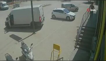 Antalya'da yabancı uyruklu şahıstan hayvanlara işkence!