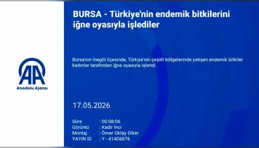 Türkiye'nin endemik bitkilerini iğne oyasıyla işlediler