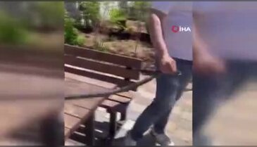 Site içine giren dev yılan panik yarattı: Vatandaş çıplak elle yakaladı