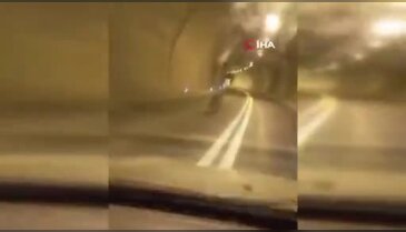 Tünelde korku dolu anlar! Ayı, aracın önünde metrelerce koştu