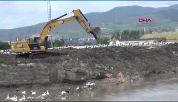 İlçe diken üstünde! Vatandaşlar kaçıyor, esnaf kepenk kapattı