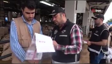 Kurban pazarında güldüren anlar :Mali Polis çetin pazarlığa dahil oldu