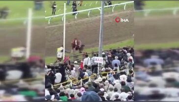 Japonya'daki festivalde panik anları: Kalabalığa dalan at 6 kişiyi yaraladı