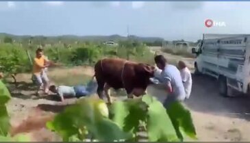 Bursa'da bayram bilançosu ağır! Bu sefer tekme...