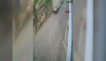 Bursa'dan panik anları gelmeye devam ediyor! Bu sefer boğa...