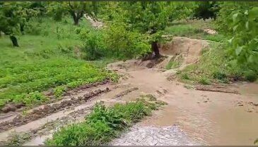 Bursa'nın dağ ilçesinde sağanak! Köyler sele teslim oldu... 2