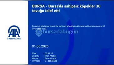 Bursa'da sabah ortaya çıkan manzara şoke etti!