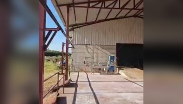 Kurban çiftliği sahibi konuştu! Ona çok güveniyordum, yıllardır yanımdaydı...