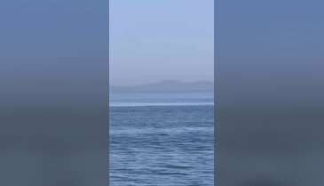 Bursa'da görsel şölen! Görenlerin yüzünü güldürdü