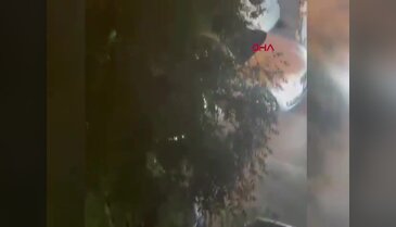 Tekme tokat yol verme kavgasına girişmişlerdi! Bedeli ağır oldu...
