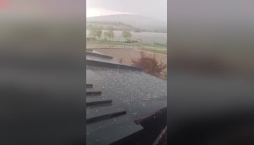 Bursa'da çiftçinin kabusu gerçek oldu! Gün içinde birden vurdu