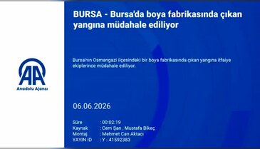 Gökyüzünü duman kapladı! Bursa'da boya fabrikasında yangın