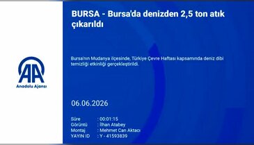 Bursa'da denizden çıktı! Tam tamına 2,5 ton