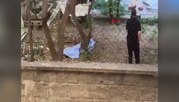 Bahçede kanlar içinde bulundu! Yanındaki detay kafaları karıştırdı
