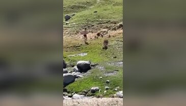 Görüntü Türkiye'den! Kamera dehşet anlarının her saniyesini kaydetti