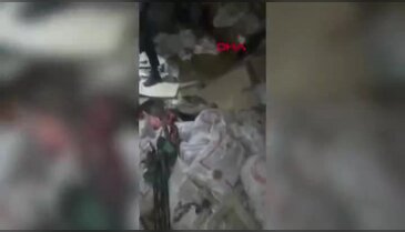Aile apartmanında şaşkına çeviren manzara! "Peçeteye sarıp yutuyoruz"