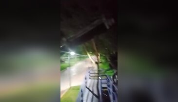 Orhangazi'de at kurtarma operasyonu! Vatandaşlar seferber oldu